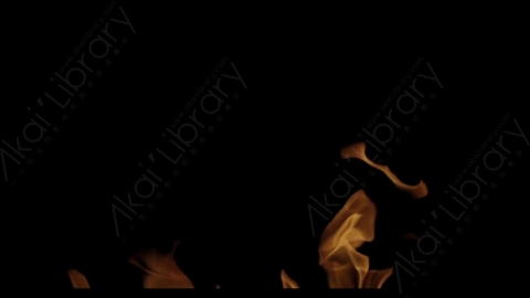 视频素材-Rampant_4K_Fire_048燃烧火焰