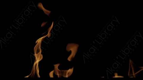 视频素材-Rampant_4K_Fire_059燃烧火焰