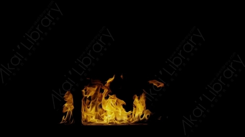 视频素材-Rampant_4K_Fire_075燃烧火焰