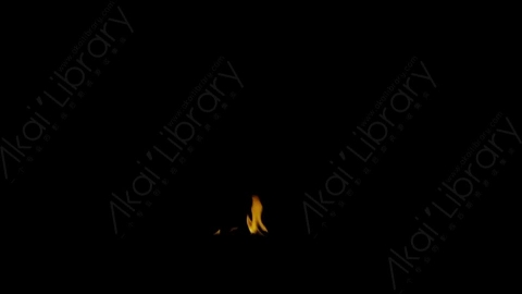 视频素材-Rampant_4K_Fire_085燃烧火焰
