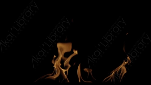 视频素材-Rampant_4K_Fire_098燃烧火焰