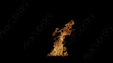 视频素材-Rampant_4K_Fire_100燃烧火焰