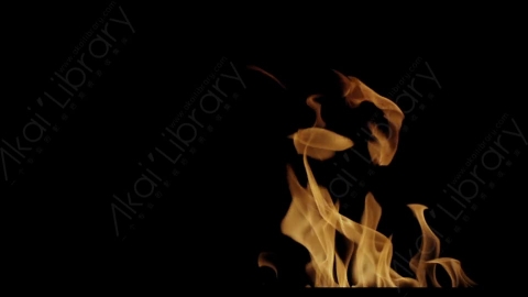 视频素材-Rampant_4K_Fire_102燃烧火焰