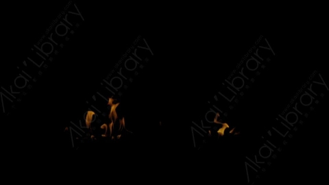 视频素材-Rampant_4K_Fire_103燃烧火焰