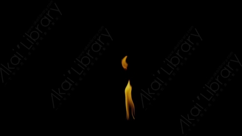 视频素材-Rampant_4K_Fire_106燃烧火焰