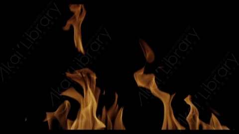 视频素材-Rampant_4K_Fire_112燃烧火焰
