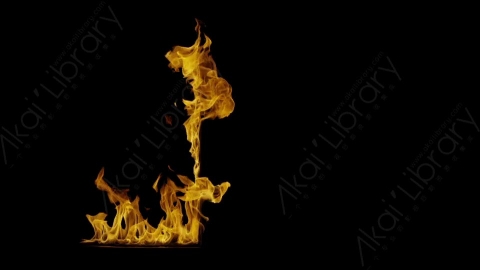 视频素材-Rampant_4K_Fire_119燃烧火焰