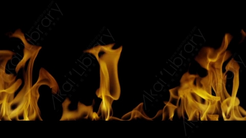 视频素材-Rampant_4K_Fire_122燃烧火焰