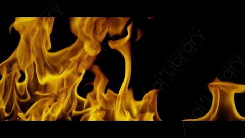 视频素材-Rampant_4K_Fire_123燃烧火焰