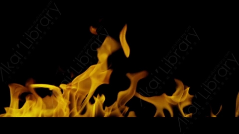 视频素材-Rampant_4K_Fire_132燃烧火焰