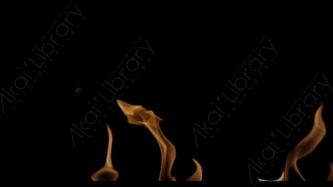 视频素材-Rampant_4K_Fire_139燃烧火焰