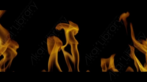 视频素材-Rampant_4K_Fire_141燃烧火焰