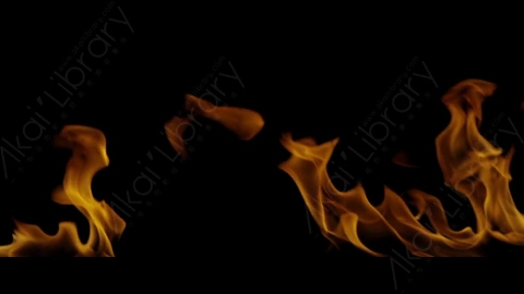 视频素材-Rampant_4K_Fire_143燃烧火焰