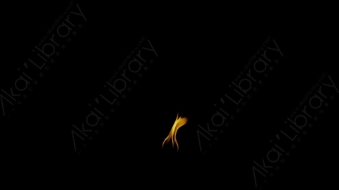 视频素材-Rampant_4K_Fire_150燃烧火焰