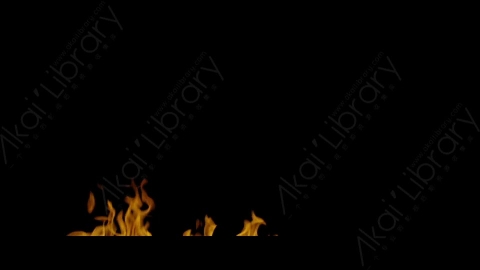视频素材-Rampant_4K_Fire_154燃烧火焰