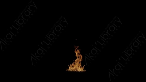 视频素材-Rampant_4K_Fire_155燃烧火焰