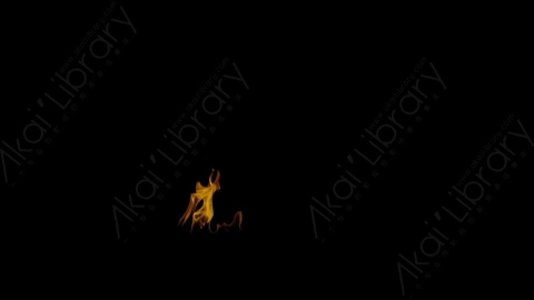 视频素材-Rampant_4K_Fire_159燃烧火焰