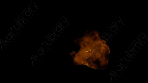 视频素材-Rampant_4K_Fire_161燃烧火焰