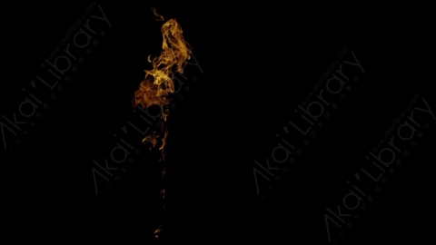 视频素材-Rampant_4K_Fire_164燃烧火焰