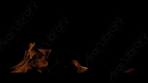 视频素材-Rampant_4K_Fire_170燃烧火焰