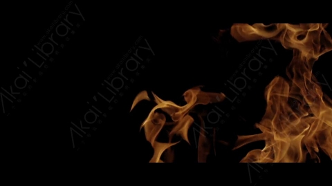视频素材-Rampant_4K_Fire_194燃烧火焰