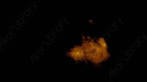 视频素材-Rampant_4K_Fire_195燃烧火焰