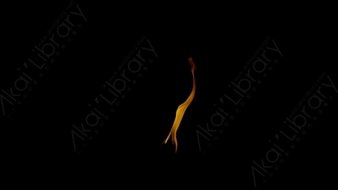 视频素材-Rampant_4K_Fire_203燃烧火焰