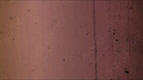 视频素材-胶片烧伤炫光Rampant_4K_Grunge_Light_015