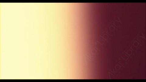 视频素材-胶片烧伤炫光Rampant_4K_Grunge_Light_021