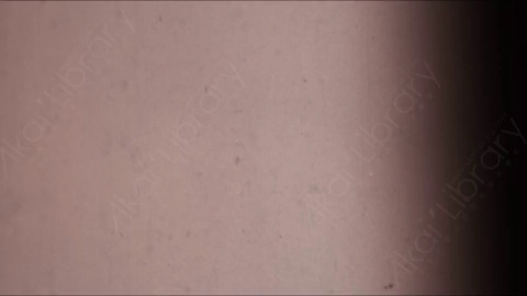 视频素材-胶片烧伤炫光Rampant_4K_Grunge_Light_024