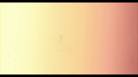 视频素材-胶片烧伤炫光Rampant_4K_Grunge_Light_027