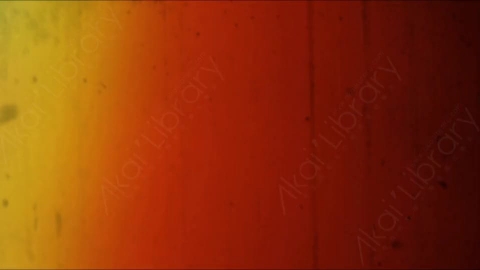 视频素材-胶片烧伤炫光Rampant_4K_Grunge_Light_035