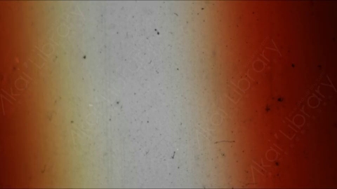 视频素材-胶片烧伤炫光Rampant_4K_Grunge_Light_069