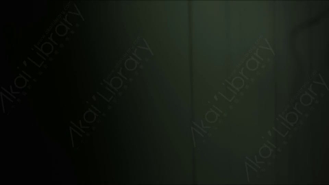 视频素材-胶片烧伤炫光Rampant_4K_Grunge_Light_075