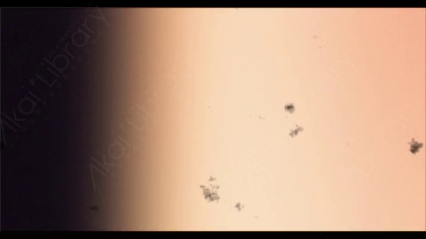 视频素材-胶片烧伤炫光Rampant_4K_Grunge_Light_076