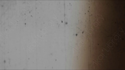 视频素材-胶片烧伤炫光Rampant_4K_Grunge_Light_079