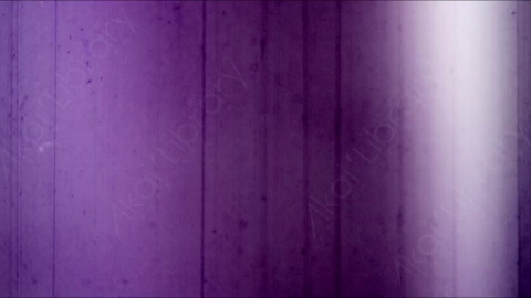 视频素材-胶片烧伤炫光Rampant_4K_Grunge_Light_100