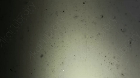 视频素材-胶片烧伤炫光Rampant_4K_Grunge_Light_101