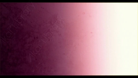 视频素材-胶片烧伤炫光Rampant_4K_Grunge_Light_102