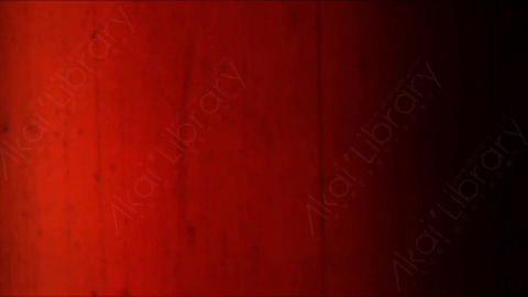 视频素材-胶片烧伤炫光Rampant_4K_Grunge_Light_108