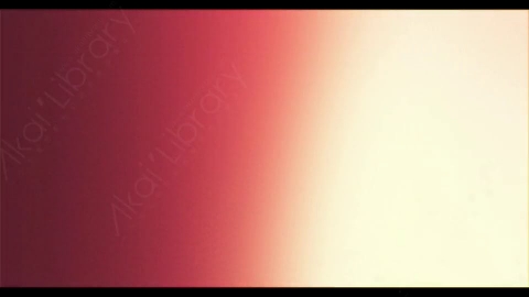 视频素材-胶片烧伤炫光Rampant_4K_Grunge_Light_130