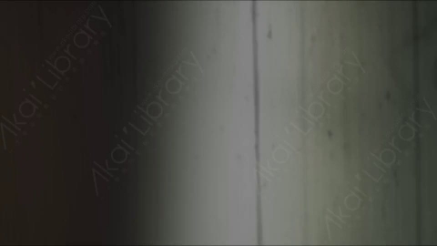 视频素材-胶片烧伤炫光Rampant_4K_Grunge_Light_136