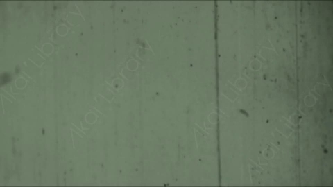 视频素材-胶片烧伤炫光Rampant_4K_Grunge_Light_150
