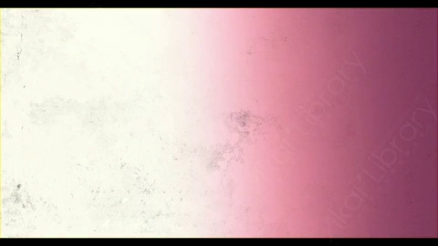视频素材-胶片烧伤炫光Rampant_4K_Grunge_Light_157