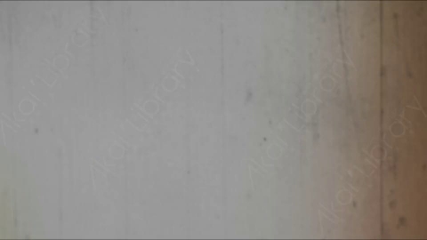 视频素材-胶片烧伤炫光Rampant_4K_Grunge_Light_163
