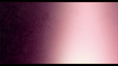 视频素材-胶片烧伤炫光Rampant_4K_Grunge_Light_164