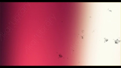 视频素材-胶片烧伤炫光Rampant_4K_Grunge_Light_182