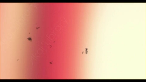 视频素材-胶片烧伤炫光Rampant_4K_Grunge_Light_189