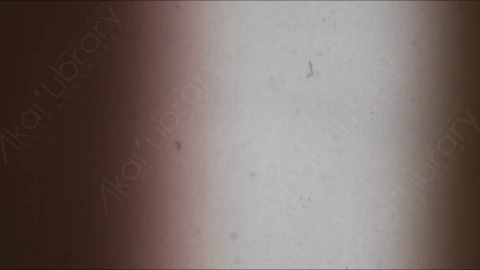 视频素材-胶片烧伤炫光Rampant_4K_Grunge_Light_190