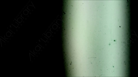 视频素材-胶片烧伤炫光Rampant_4K_Grunge_Light_192